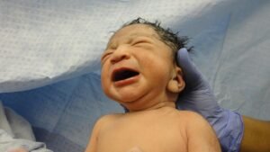 baby, birth, healthy baby, child, newborn, infant, born, care, healthy, boy, delivery, new baby, hospital, medical, newborn baby, childbirth, healthcare, maternity, family, motherhood, labor, mother, life, parent, mom, birth, birth, birth, birth, birth, born, hospital, hospital